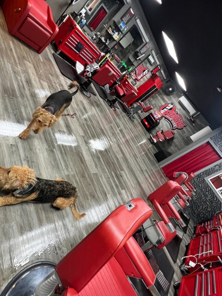 Maui Barber, Mens Haircuts & Styles Blessed Barbers